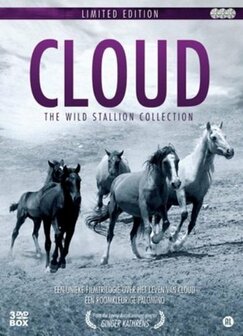 Cloud - The Wild Stallion Collection