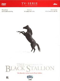 The adventures of the Black Stallion