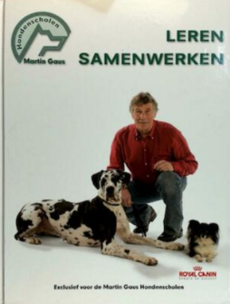 martin gaus // leren samenwerken