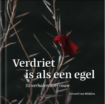 Gerard van Midden // Verdriet is als een egel