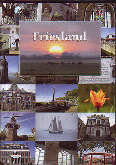 Friesland in beeld (D.V.D.)