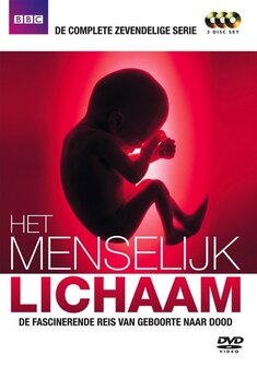 Het Menselijk Lichaam