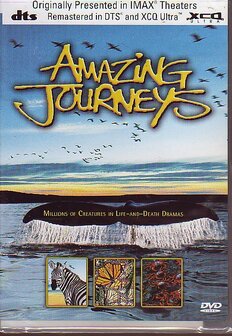 Amazing Journeys