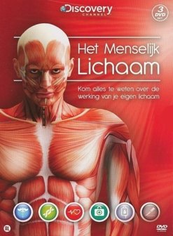 Het Menselijk Lichaam