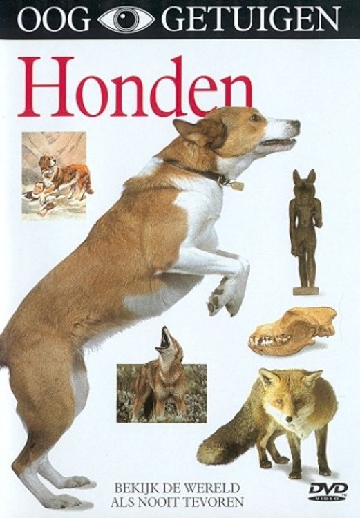 Ooggetuigen - Honden   