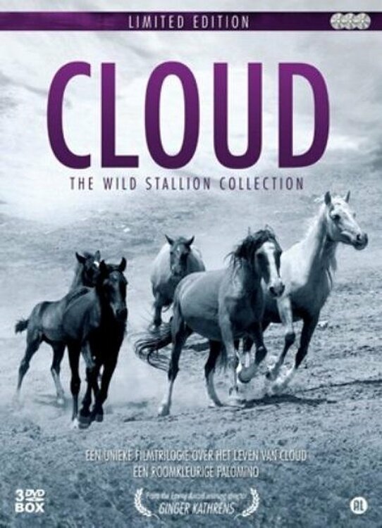 Cloud - The Wild Stallion Collection