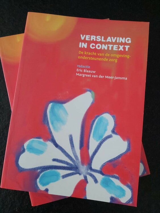 Verslaving in Context