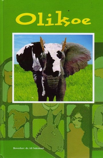 Ali Soleimani // Olikoe