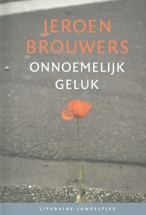 Jeroen Brouwers // Onnoemelijk geluk