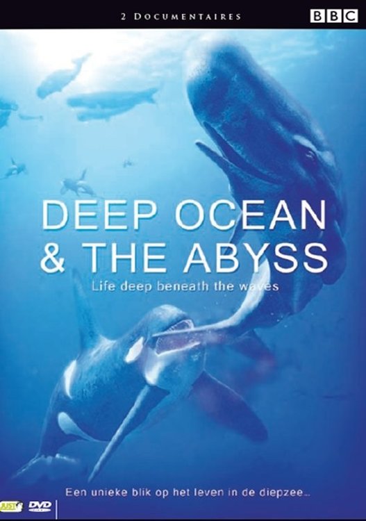 Abyss & Deep Ocean