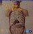  C.A. Bastiaanssen // Anatomie en fysiologie