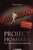  Kirsten Verdel // Project Homerus