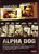 ​Alpha Dog (2006) 