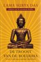 Lama Surya Das // De troost van de Boeddha (boekerij)