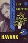 Havank///Lijk Halfstok(Z.B.85)