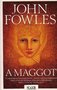John Fowles // A maggot 