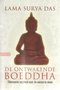 Lama Surya Das//De ontwakende Boeddha(Pockethuis) 