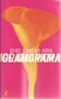 Bret Easton Ellis //Glamorama(Flamingo)